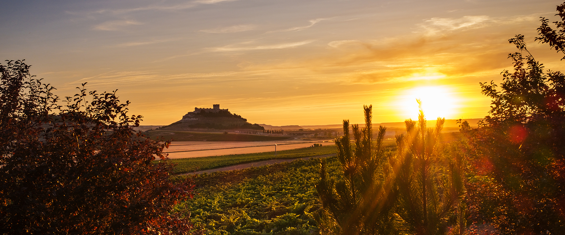 Discover the wines from the beautiful Ribera del Duero