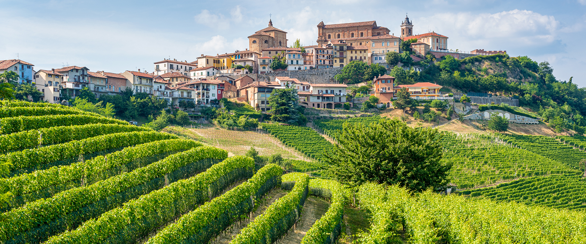 Come along on a journey to Piedmont, the land of truffles and Alba wines